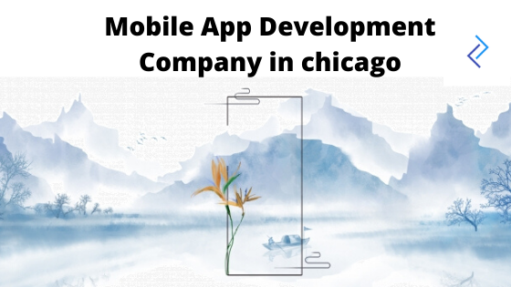 Mobile App Development Company in chicago